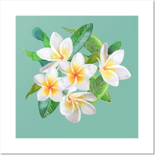 Frangipani - Sea Foam Posters and Art